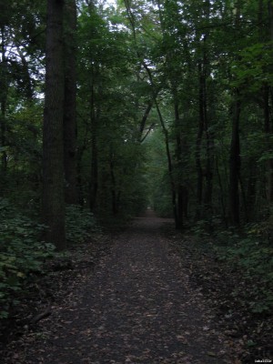 IMG_0592_1024x1365.JPG