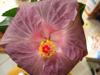 september 2008 176.jpg