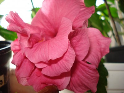 september 2008 006.jpg