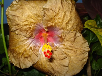 september 2008 146.jpg