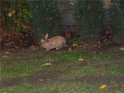 100_1070.JPG