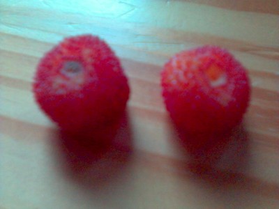 081015_110637.jpg