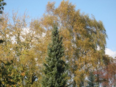 Img_4182.jpg