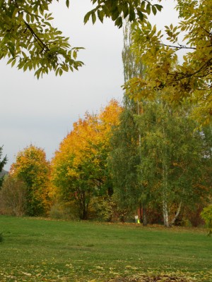 IMG_8163.JPG