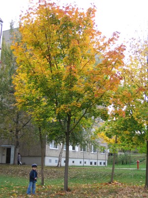IMG_8162.JPG