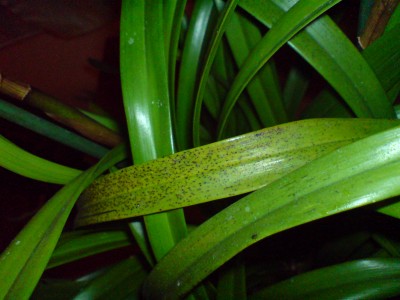 DSC00014.JPG