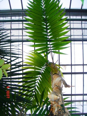 Digi 06 066.JPG