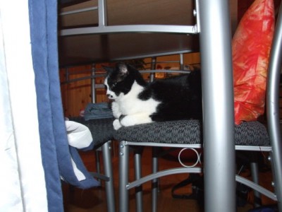 DSCF2228.jpg