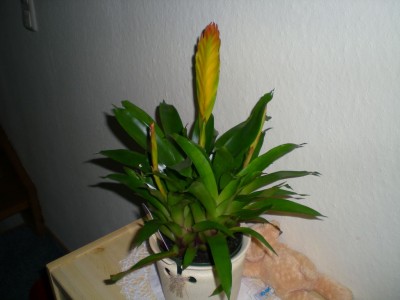 DSCN18010001.JPG