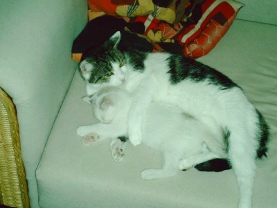 JMMU0159.JPG