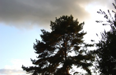 herbstbilder 006.jpg