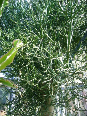 bochum11.10.08 047.jpg