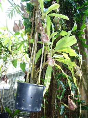 bochum11.10.08 081.jpg