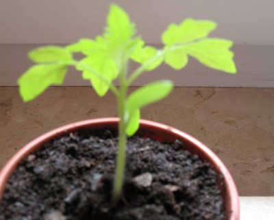 IMG_3051_neu.jpg