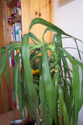 100_6657.jpg