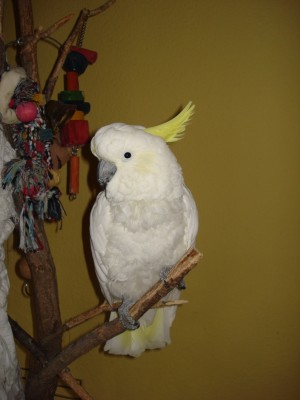 september 2008 142.jpg