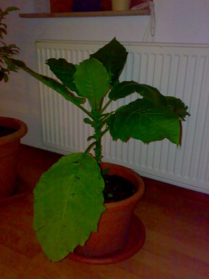 20102008372.jpg