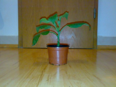 20102008374.jpg