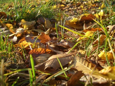 22_herbst.jpg
