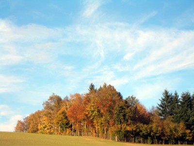 22_herbstlandschaft2.jpg