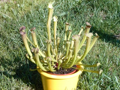 IMAG0020.JPG