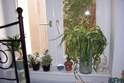 100_3452.JPG