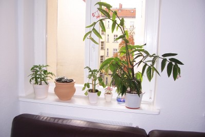 100_3450.JPG