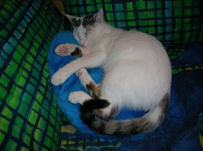 DSCN0466.JPG