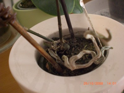 Bilder 025.jpg