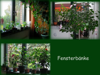 Fensterbänke.jpg
