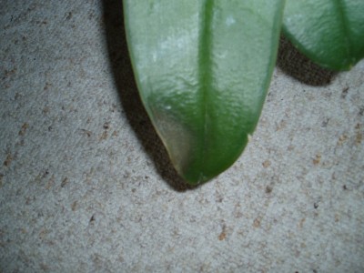 PA270031.JPG
