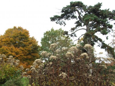 DSCF8174.JPG
