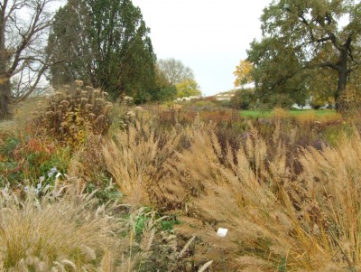 DSCF8173.JPG
