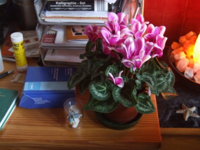 DSCF2273.JPG