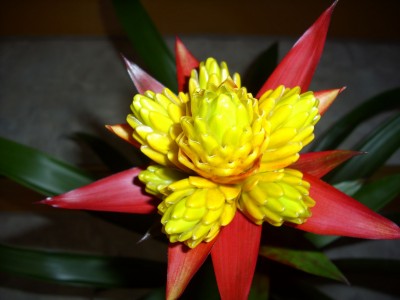 DSCI0291_1.jpg