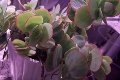 100_3473.JPG
