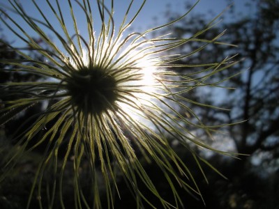SONNE.JPG