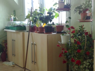 Photo neu 010.jpg