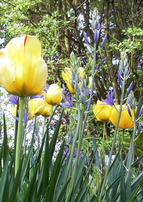 25.04.2007 hübsch1.jpg
