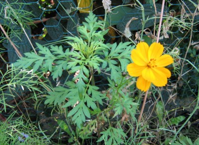 web_IMG_6997.JPG