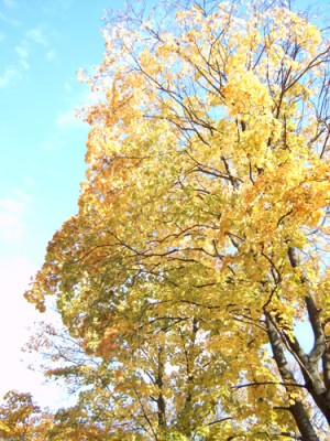 IMG00020.jpg