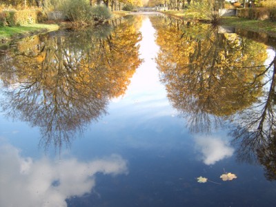 IMG00005.jpg