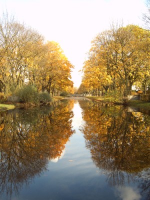 IMG00002.jpg