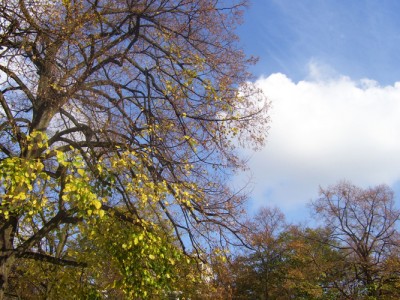 100_6120.jpg