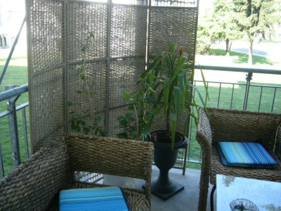 latest addition 001.jpg