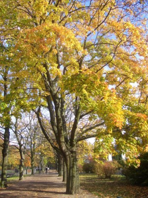 100_6101.jpg
