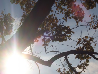 100_6109m.jpg