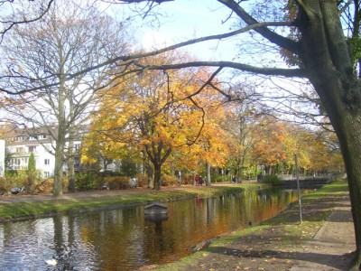 100_6106m.jpg