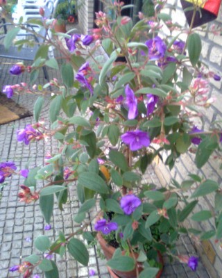 Bild019.jpg