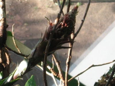 IMG_1768.jpg